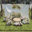 피어나개 이미지