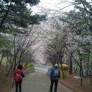 용호장 이미지