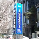 서울 아이와 가볼만한 곳 명동거리 둘러보기&amp;볼거리(주차,명동성당)