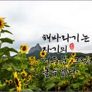 내 그림자가 보인다. 이미지