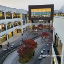 팩토리바쉬 - 중구 장충단로13길 20 | 팩토리바쉬