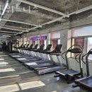 포텐휘트니스 이미지