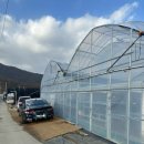 조안 농장 | 41개월 아이랑 생명농장 딸기체험 후기(feat. 조안사계절찐빵)