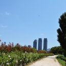 태화강국가정원 이미지