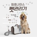 우리 강아지 이미지