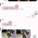 나의 아기의 첫 베트남