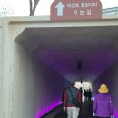 쌍암리주차장 | 임실 가볼 만한 '옥정호 출렁다리' 개통 후 다녀온 후기, 입장료, 주차장, 운영시간