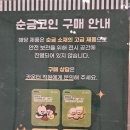 꿀잼문방구 | 대전 신세계 팝업스토어, 빵빵이와 옥지의 기상천외한 팝업 굿즈 기념품 후기