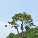 은하수공원 봉안당 이미지