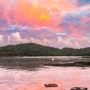 조도초등학교대마분교장 이미지