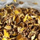 여주-0264 이미지