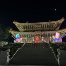 부산 삼광사 연등축제 점등시간ㅣ주차못하고 걸어 올라간 후기ㅣ근처 주차장 공유