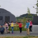 번개나들이♡서천일대 /광어,도미축제 이미지