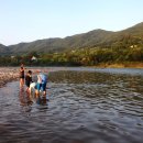 시골다슬기 이미지