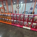 하이원당구장 이미지