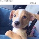 위즈메딕(WIZ Medic) | ‘24.07 헝가리 부다페스트🇭🇺 | 4박 5일 여행