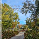 대천천누리길 화장실 | 부산 대천천 누리길 산책하기 좋은 화명동 산책로
