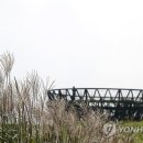 대통령공원 진돗개 이미지