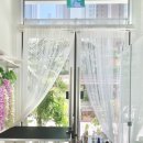 강아지미용실 정독 이미지