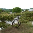 고기연구소 - 양산시 야리로 23 | 고기연구소
