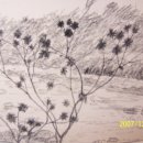 안성정미소 이미지