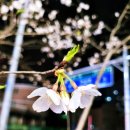 파리바게뜨부영점 이미지