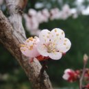 (주) 보금자리 이미지