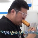 도그킹 이미지