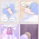 셀라토이즈