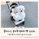 가벼운 개모차 플리다스 분리형 원터치 펫 유모차