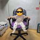 무진건어물 | 대구 칠성시장 과일가게｜8년째 단골인 무진상회 내돈내산 후기 명절선물·전국택배