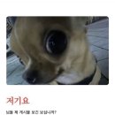 저기요