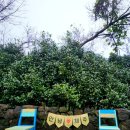 스테이552 이미지