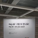 맞소잉 이미지