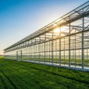 이나하우스 이미지