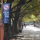 하남문화예술회관 전동휠체어급속충전기 | 대구여행, 대구시민의 유명 휴식공간 두류공원