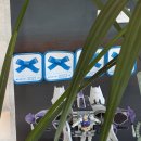 밭담 | 제주 동쪽 구좌 맛집 밭담 초밥 혼밥 내돈내산 솔직후기 / 뚜벅이 혼자 여행