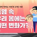 [폭염] 폭염과 우리 몸의 변화 / sbs('숨이 턱턱 막히는 더위'에 27명 사망) 이미지