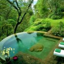 웰니스 코리아 이미지