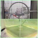 Mr.독 | 배터리 교체 없는 최신 충전형 보청기의 비교 장점