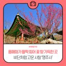 양양명주사동종 | 강원도 양양 여행, 비단처럼 고운 사찰 명주사 가보기