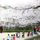 더블리스 코리아 콘서트 이미지