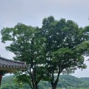 고색연무관 네이버블로그