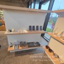 [서귀포시 표선면 브런치] 노바운더리 제주, 코요태 빽가님이 운영하는 갤러리와 정원이 있는 대형...