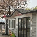 반려동물 이동서비스 | &lt;마포구 반려동물 캠핑장&gt; 솔직 후기,장단점,준비물, 주차, 예약방법, 아쉬운 점