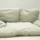 도그캐슬 이미지