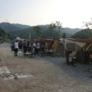 지지벨리유명산오토캠핑장 이미지