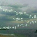 란다방 Daum카페