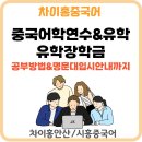 원어민 중국어(야간) | [차이홍중국어]중국 유학, 어학연수준비! 중국어회화 공부법부터 중국명문대 입시, 유학 장학금까지🧑‍✈️