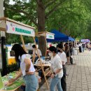 아산3호 이미지